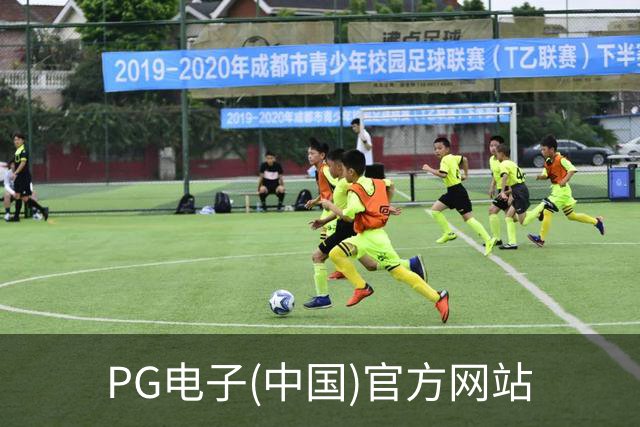 PG电子(中国)官方网站